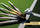 Adidas 2025/26 Hockey Stick Collection