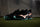 Mizuno Wave Leopardus Hockey Shoes Black/Tangelo/Ice Green 25/26 | ONE Sports Warehouse