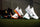 Mizuno Wave Panthera 2 Hockey Shoes Black/Tangelo/Ice Green 25/26 | ONE Sports Warehouse