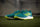 Adidas Youngstar Hockey Shoes Green 25/26 | ONE Sports Warehouse