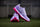 Adidas Fabela Zone Purple Hockey Shoes 25/26 | ONE Sports Warehouse