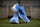 Adidas Fabela X 2 Blue Hockey Shoes 25/26 | ONE Sports Warehouse