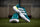 Adidas Adipower Hockey 3 Green Shoes 25/26 | ONE Sports Warehouse