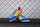 Adidas Youngstar Rise Blue Fade Junior Hockey Shoes 25/26 | ONE Sports Warehouse