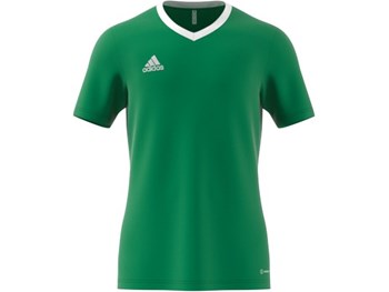 Adidas Short Sleeved Goalkeeping Smock Green | ONE Sports Warehouse