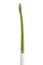Osaka Low Bow Advanced 25 Khaki Green 25/26 | ONE Sports Warehouse