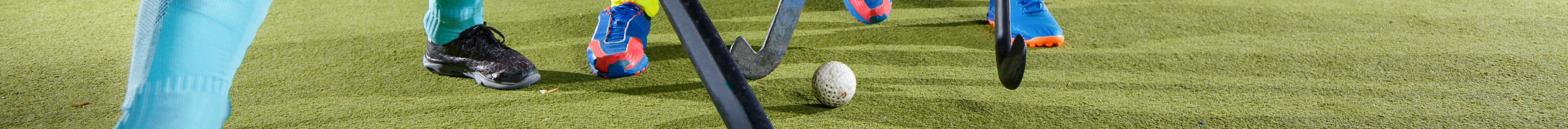 ONE Sports Warehouse